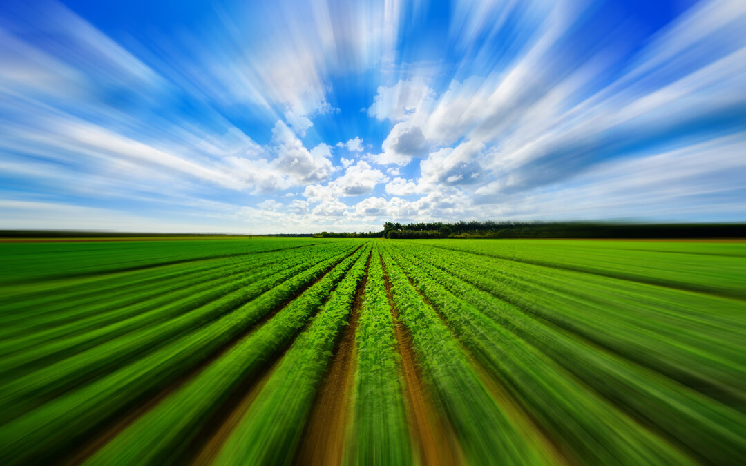 RESILIENT AGRICULTURE ACCELERATOR FUND