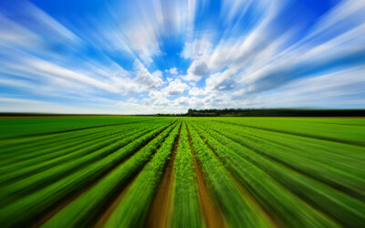 RESILIENT AGRICULTURE ACCELERATOR FUND