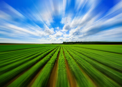 RESILIENT AGRICULTURE ACCELERATOR FUND