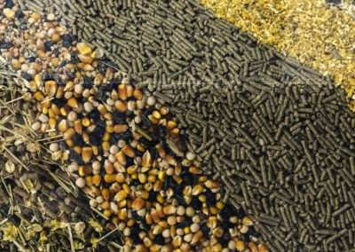 RESOURCE GUIDE ON SUSTAINABLE ANIMAL FEED