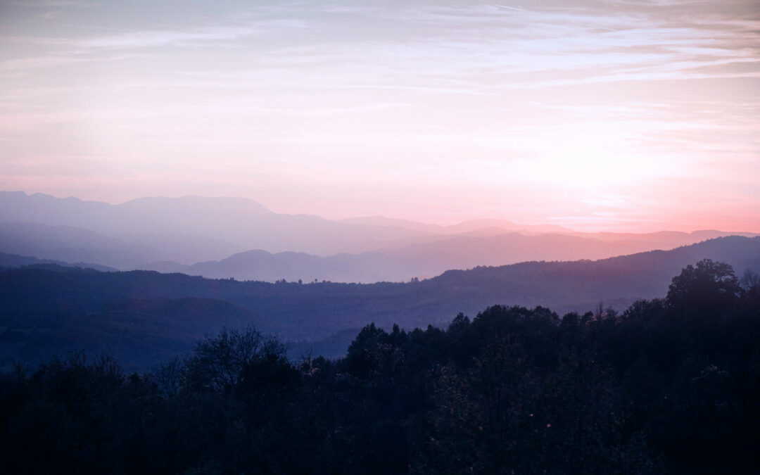 DRIVING IMPACT BY STREAMLINED REPORTING FROM FIELD TO RETAIL