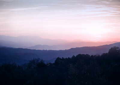 DRIVING IMPACT BY STREAMLINED REPORTING FROM FIELD TO RETAIL