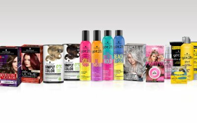 THESIS Supplier Case Study: HENKEL