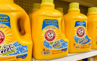 THESIS Supplier Case Study: Church & Dwight