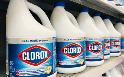 THESIS Supplier Case Study: The Clorox Company