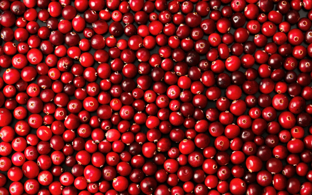 THESIS Supplier Case Study: Ocean Spray