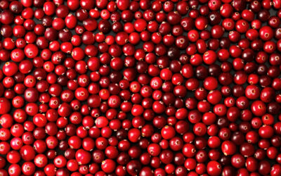 THESIS Supplier Case Study: Ocean Spray