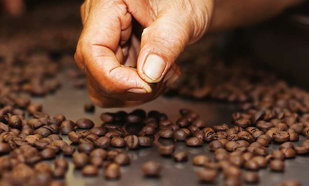 Sustainable Coffee Challenge