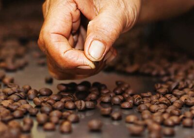 Sustainable Coffee Challenge